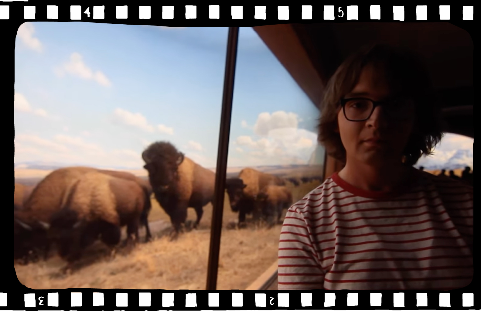 Understanding Myself as an Amphibian 1