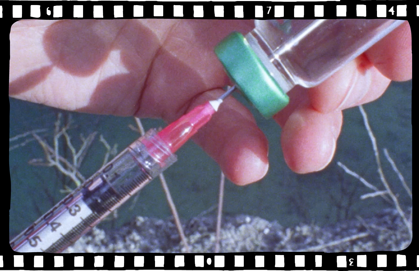 Resurrect Me as a Parasite 4