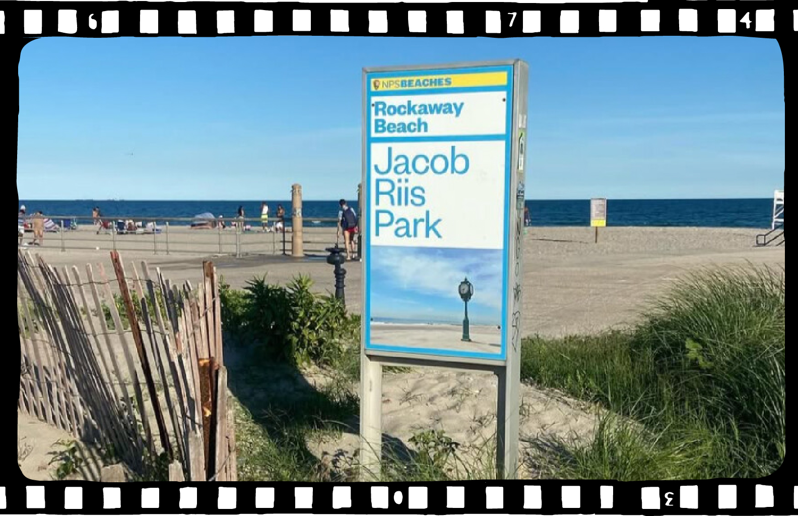 Understanding Myself as an Amphibian 4